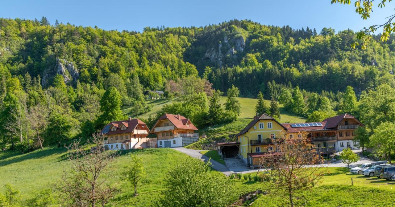 Arlitscherhof Und Apartment Bad Eisenkappel